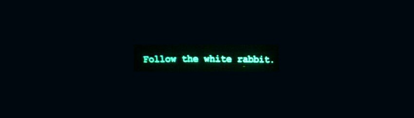 Follow white. Follow the White Rabbit. Follow the White Rabbit матрица. Следуй за белым кроликом матрица. Neo White Rabbit.